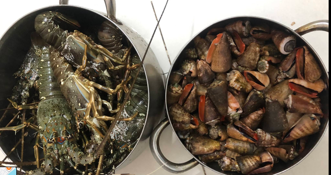 Vựa Hải Sản Tuấn Hồng - Hồng Bích 3